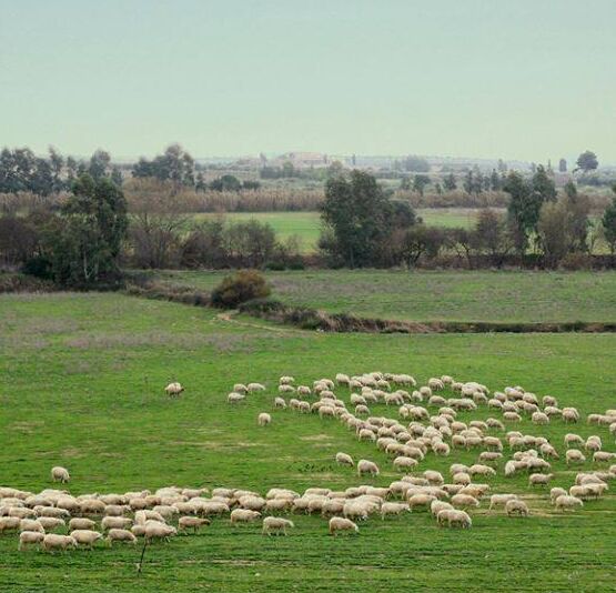 il territorio- lancio img